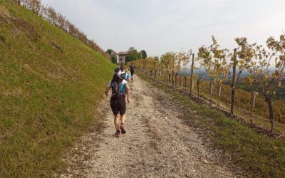 WINE RUN DEL COLLIO